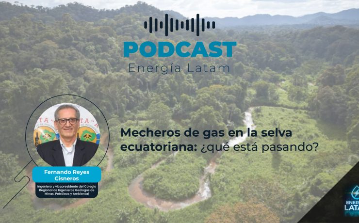 Mecheros de gas