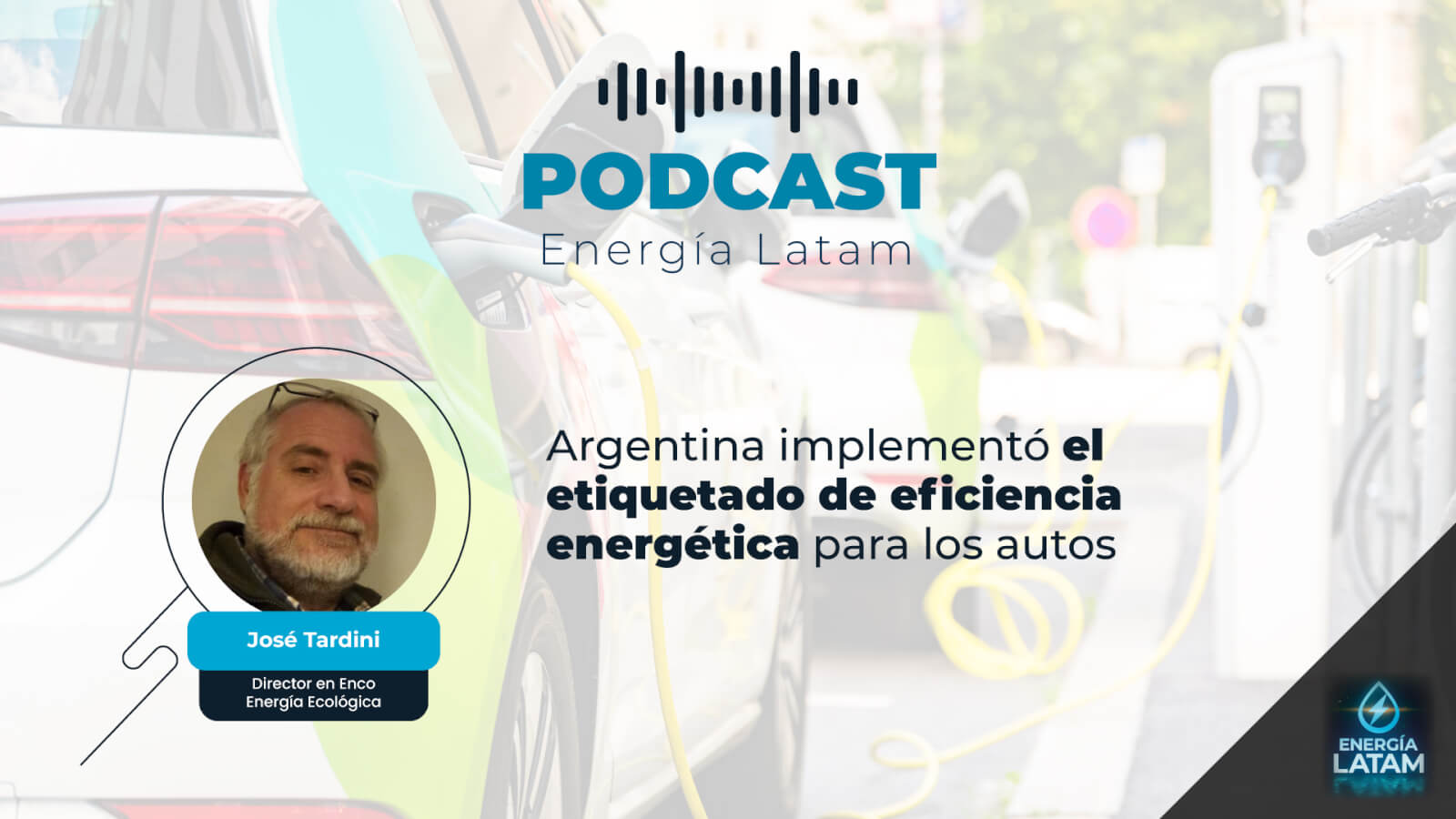 Argentina implementó el etiquetado de eficiencia energética para los autos